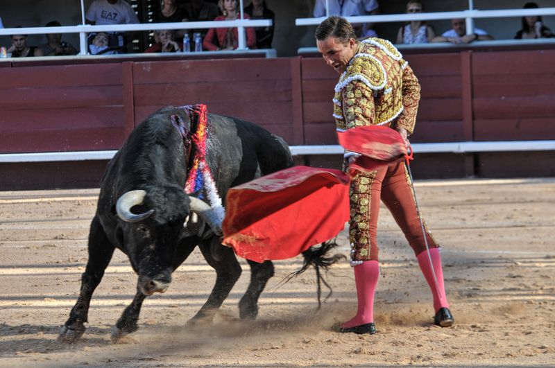 2016corvendistres (6)