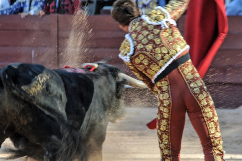 2016corvendistres (8)