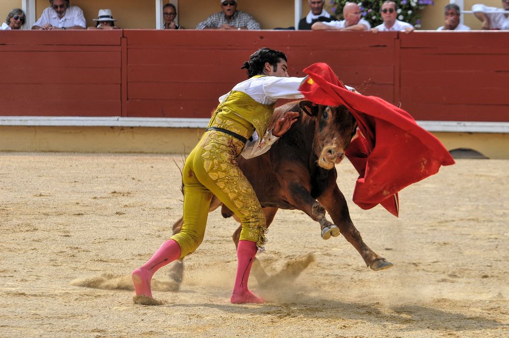 2016finalenovferiabayonne (10)