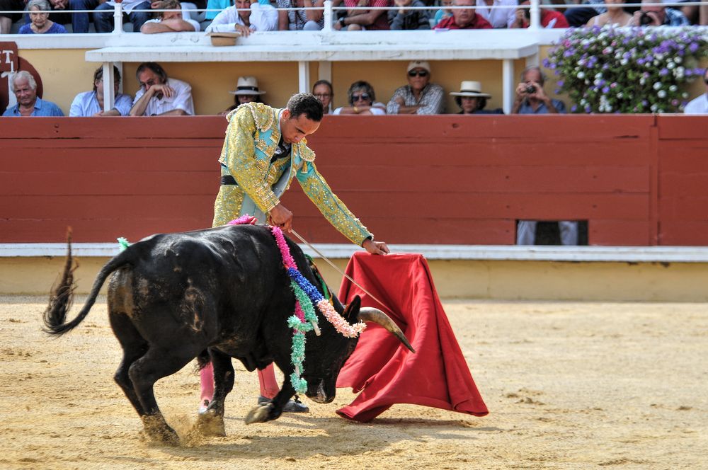 2016finalenovferiabayonne (103)