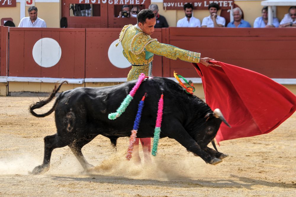 2016finalenovferiabayonne (114)