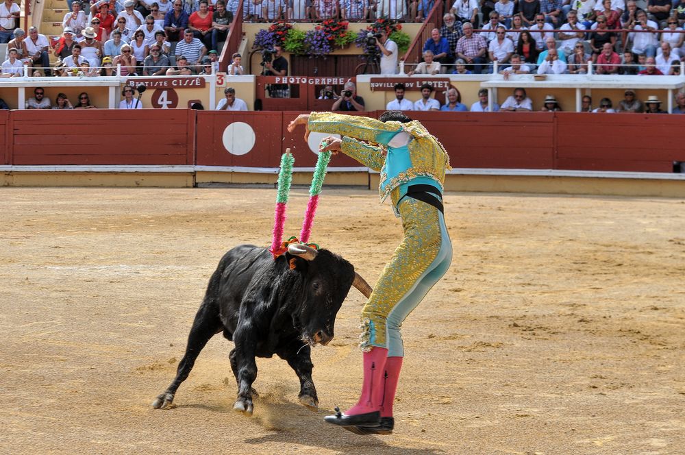 2016finalenovferiabayonne (126)