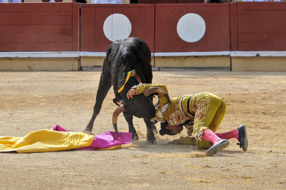 2016finalenovferiabayonne (133)