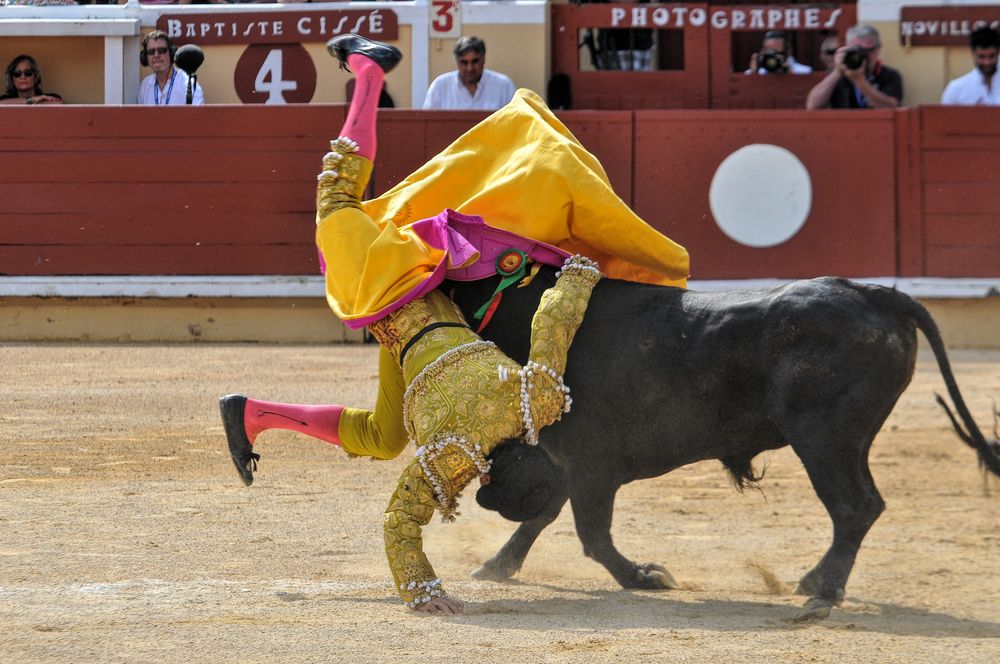 2016finalenovferiabayonne (135)