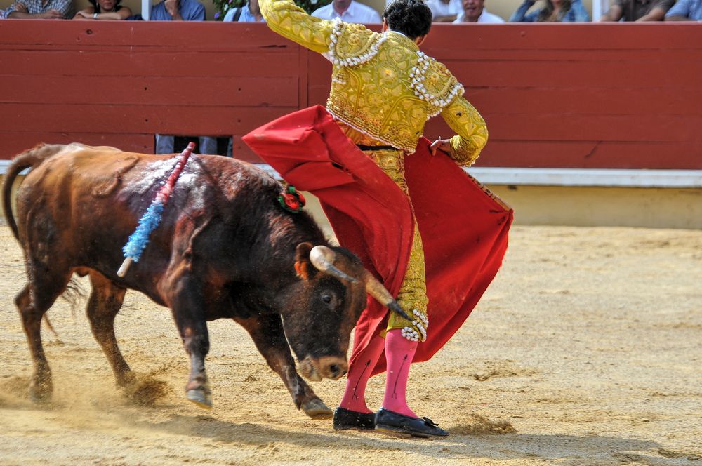 2016finalenovferiabayonne (148)