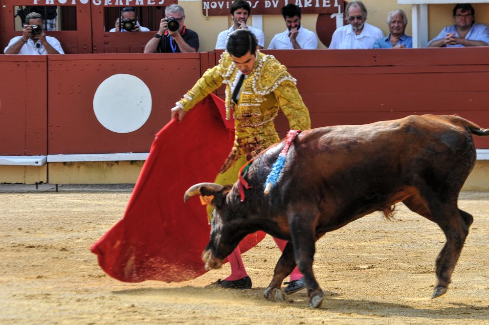 2016finalenovferiabayonne (157)