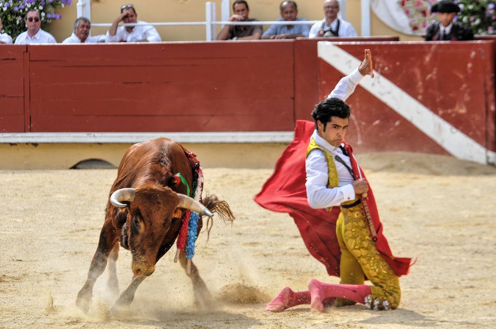 2016finalenovferiabayonne (17)