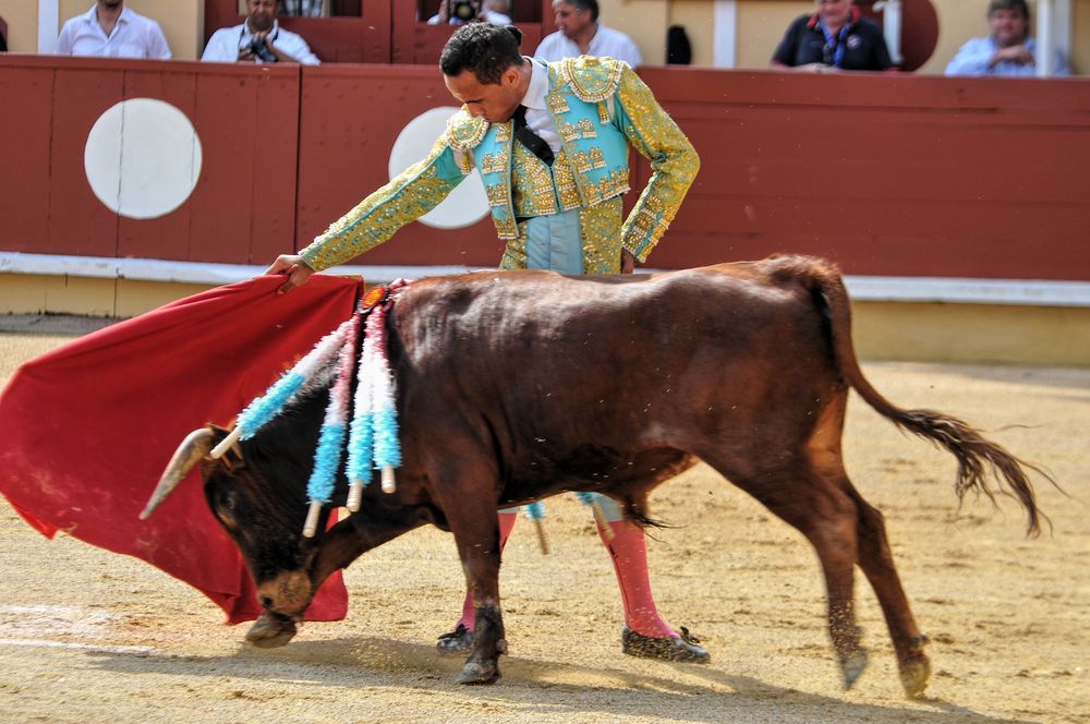 2016finalenovferiabayonne (205)