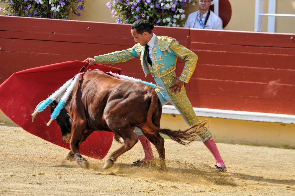 2016finalenovferiabayonne (208)