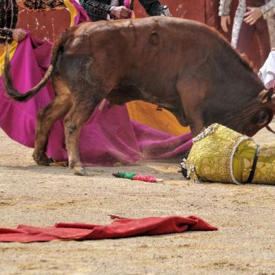 Finale de la Novillada du Dimanche de la Féria de Bayonne 2016