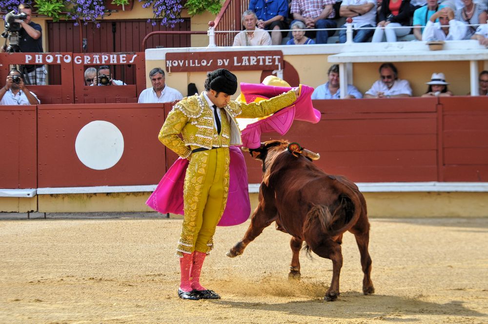 2016finalenovferiabayonne (219)