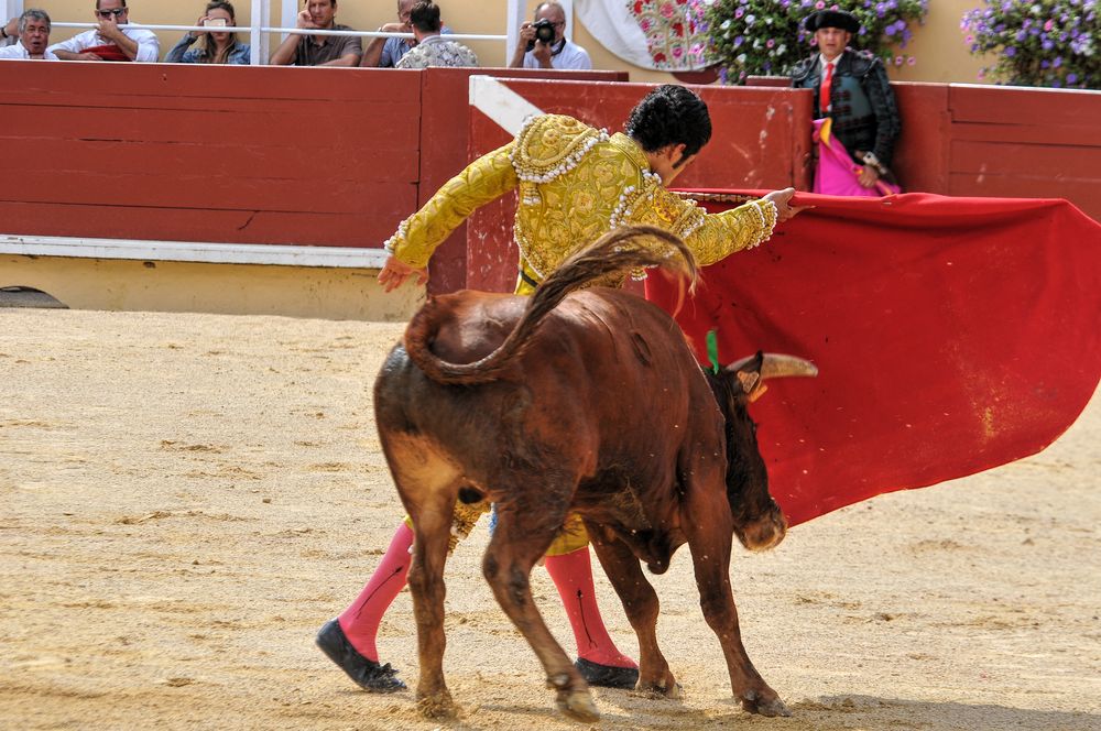 2016finalenovferiabayonne (40)