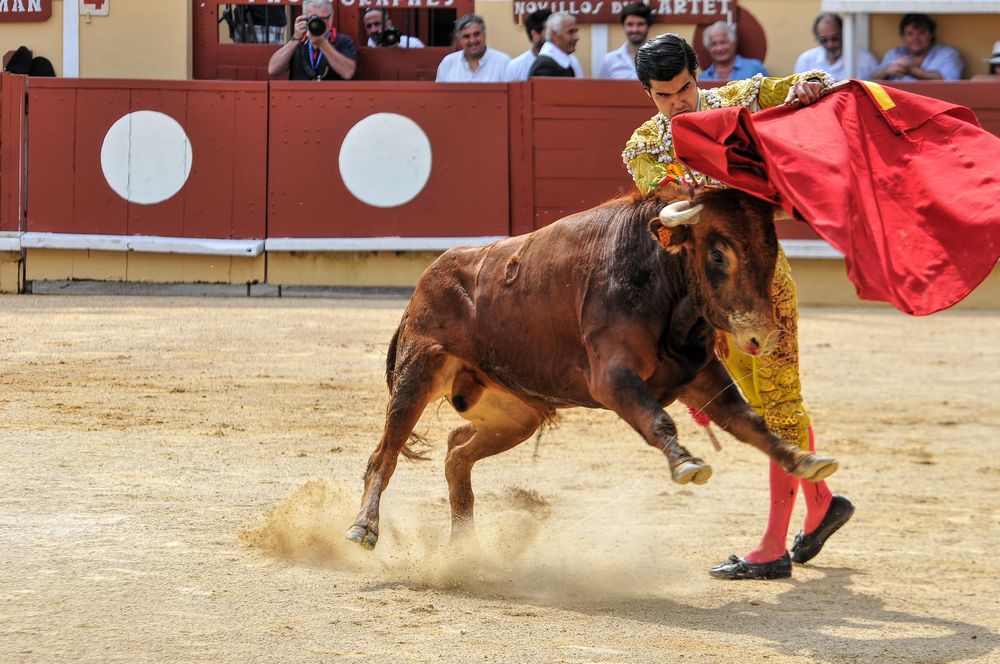 2016finalenovferiabayonne (50)