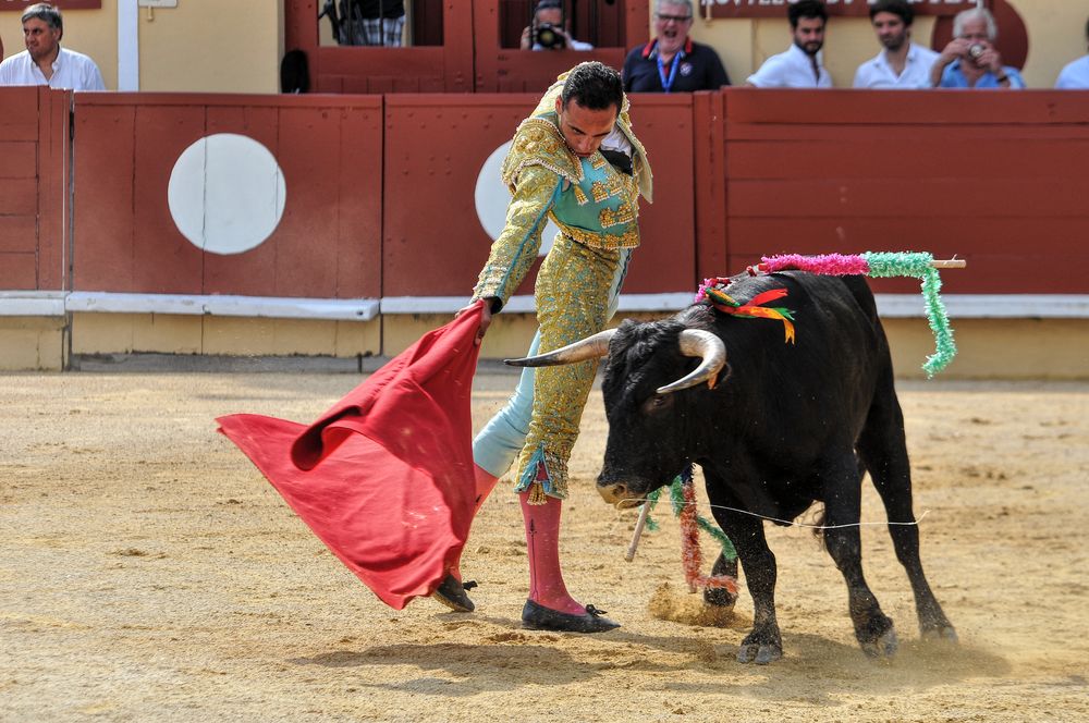 2016finalenovferiabayonne (87)