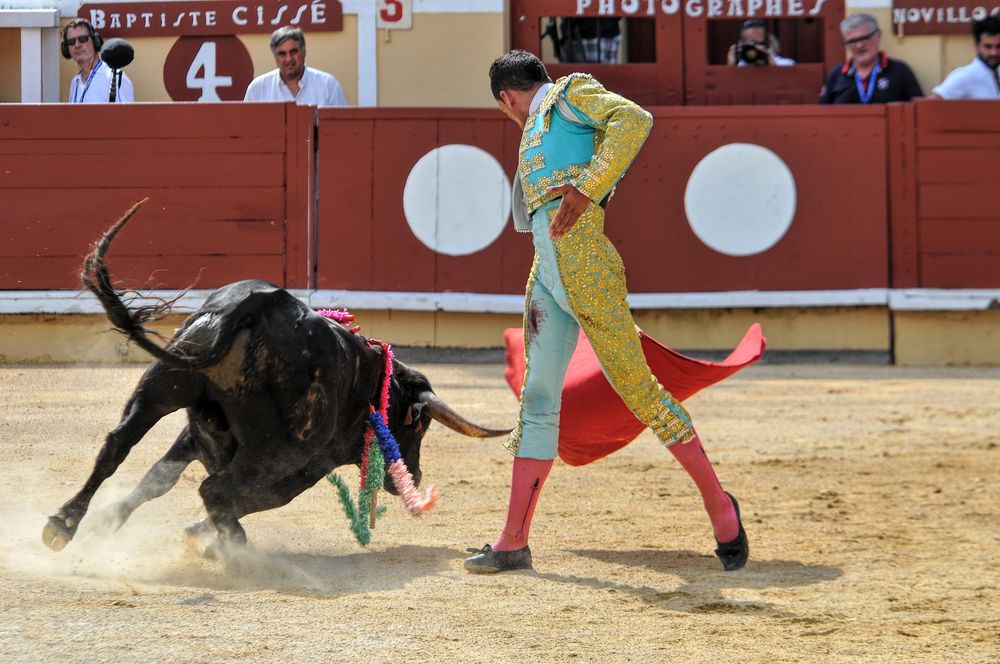 2016finalenovferiabayonne (88)