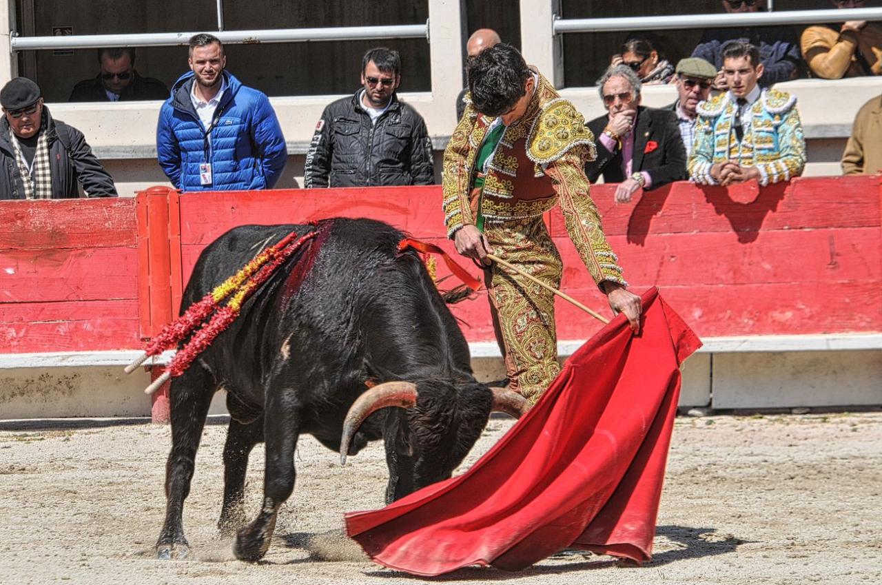 2016novilladalacrau (46)