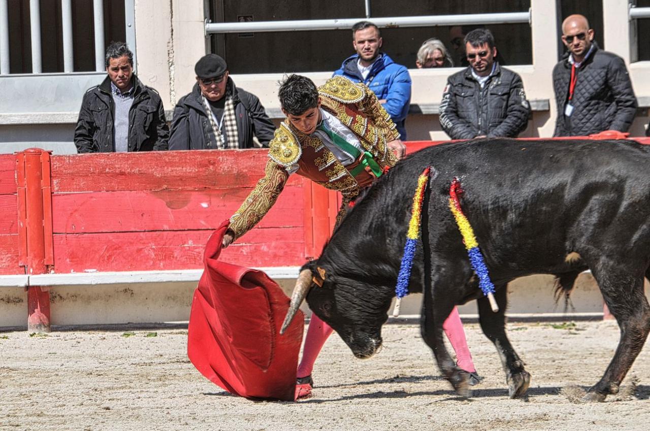 2016novilladalacrau (48)