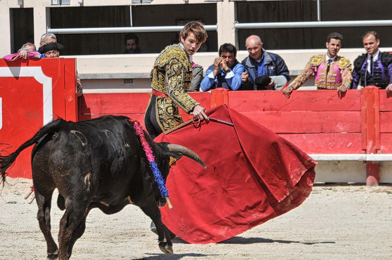 2016novilladalacrau (8)