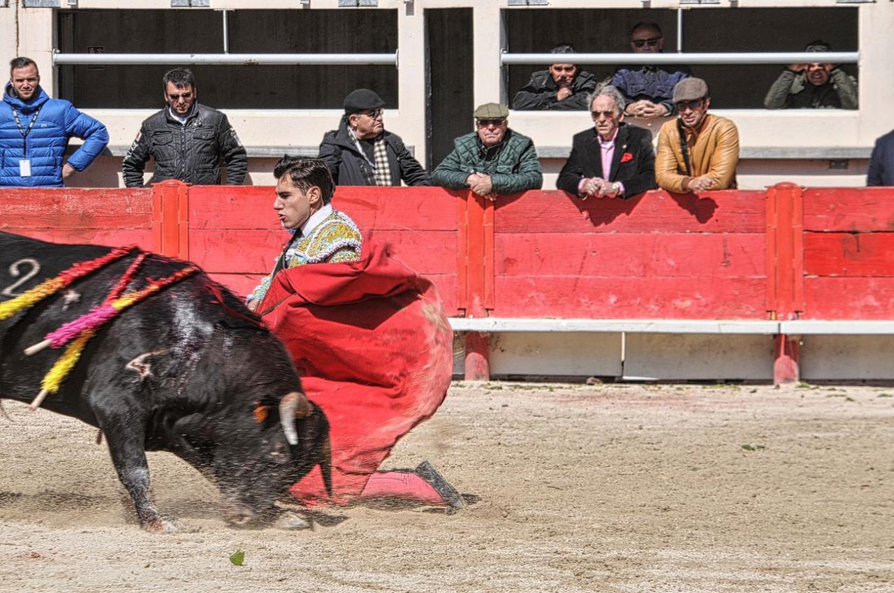 2016novilladalacrau (95)