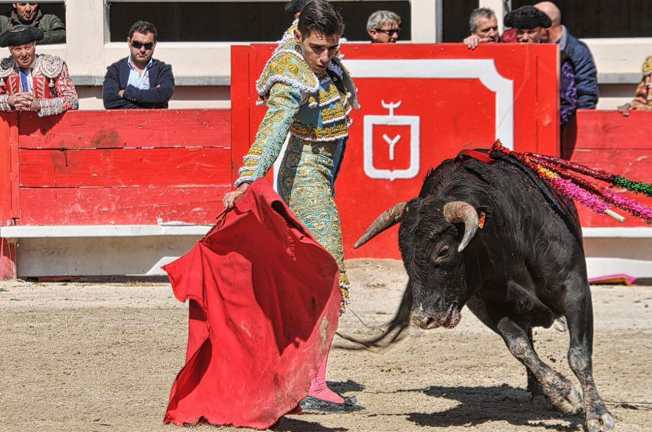 2016novilladalacrau (99)