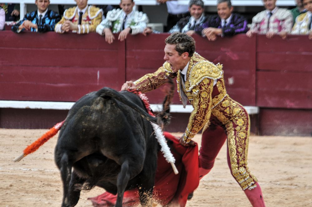 2016novistres (100)
