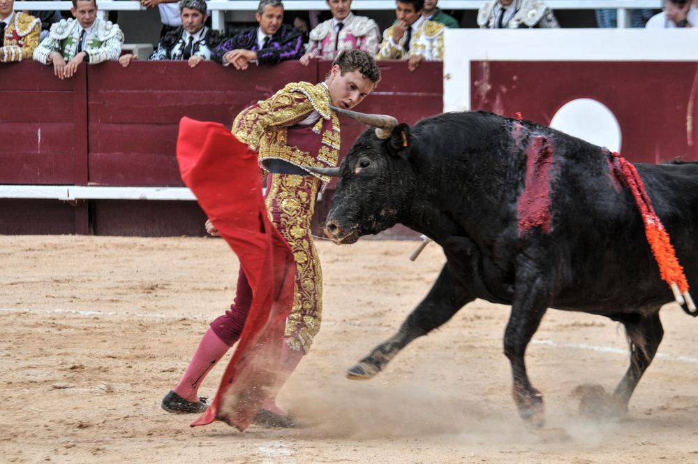 2016novistres (101)