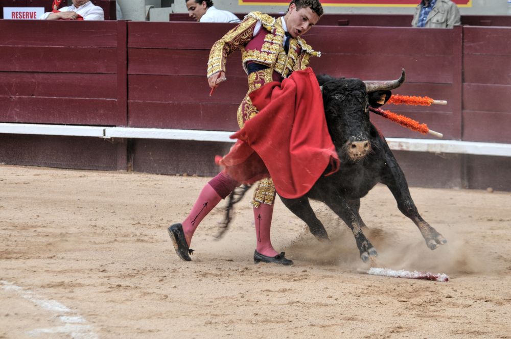 2016novistres (103)