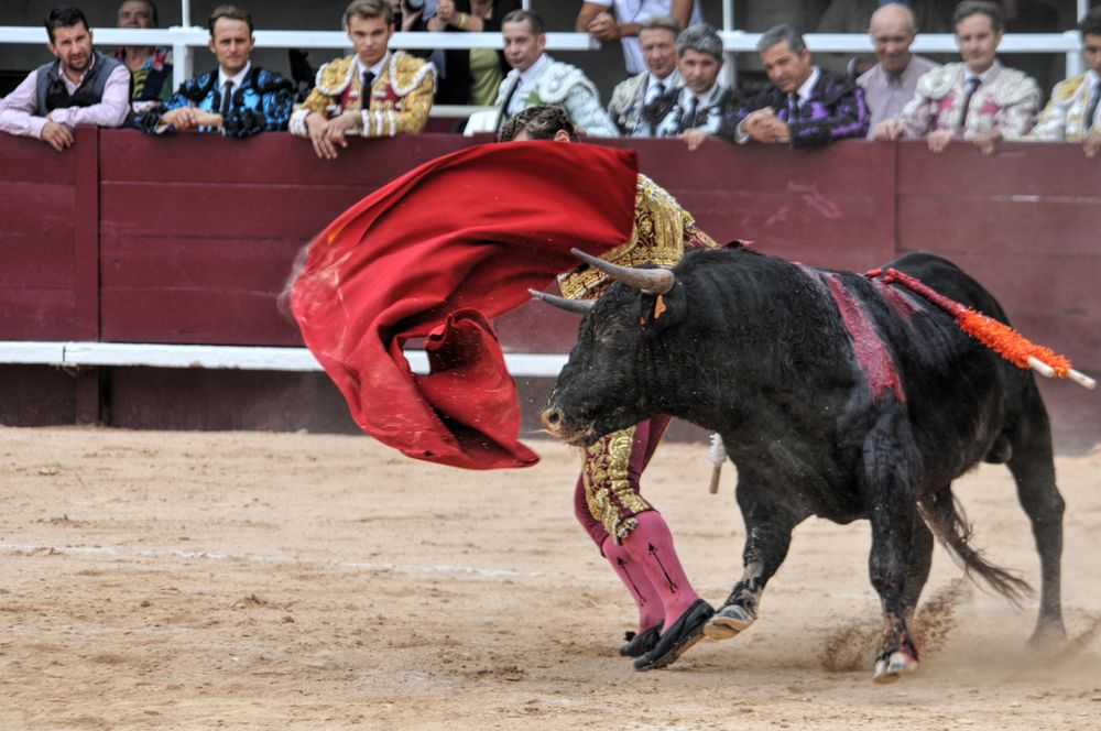 2016novistres (104)