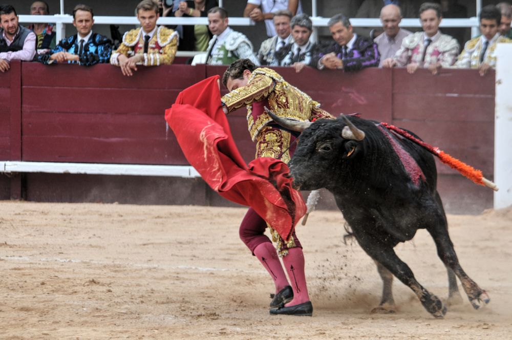 2016novistres (105)