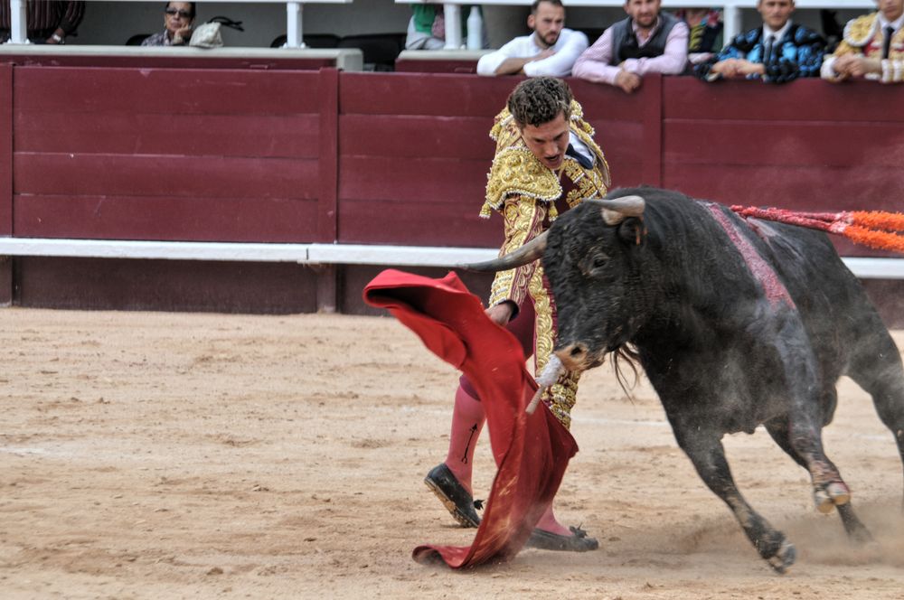 2016novistres (108)