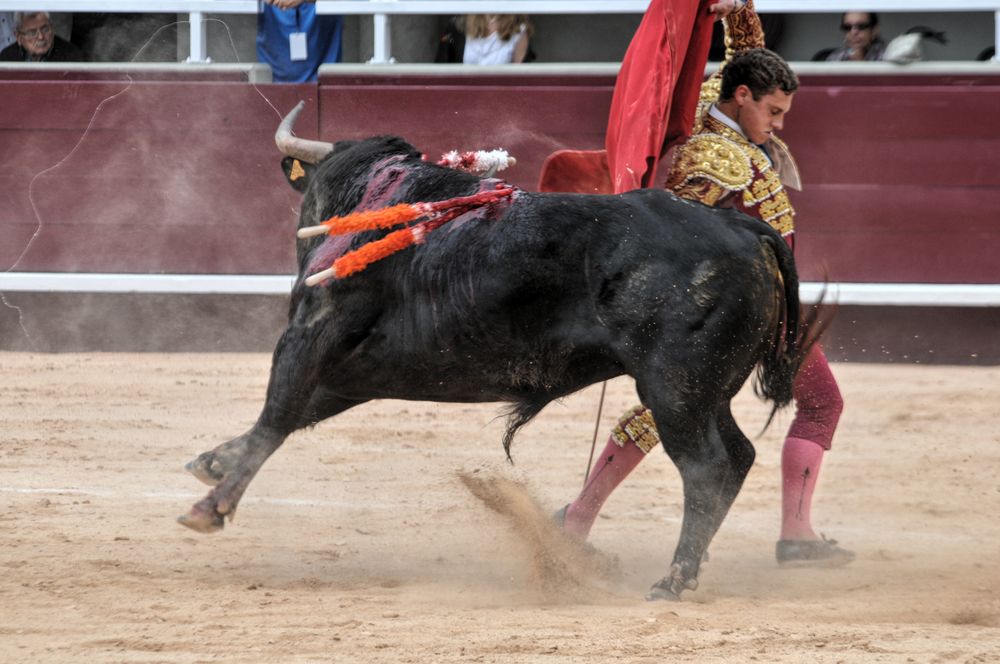 2016novistres (110)