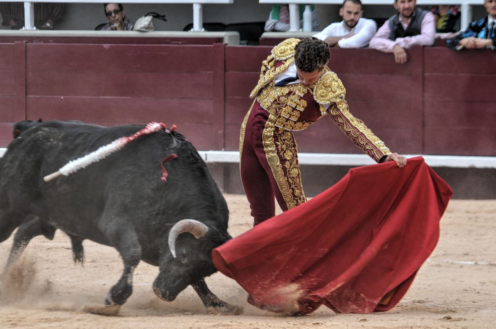 2016novistres (112)