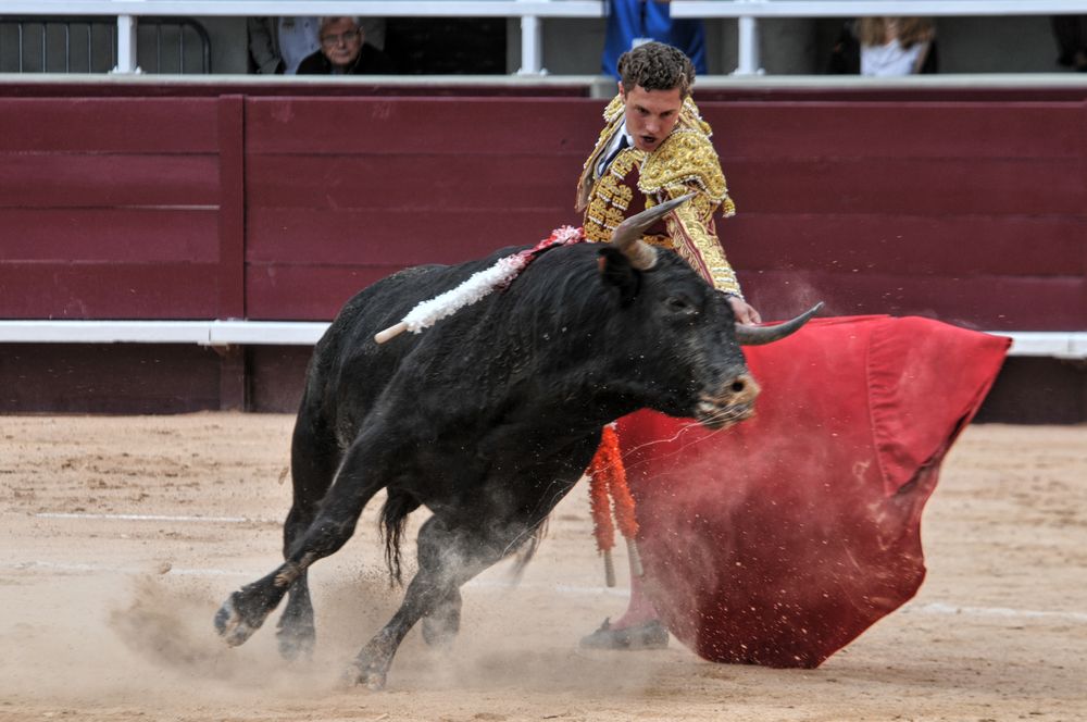 2016novistres (114)