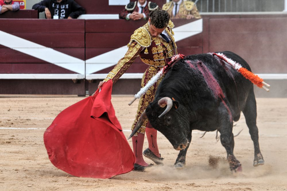 2016novistres (115)