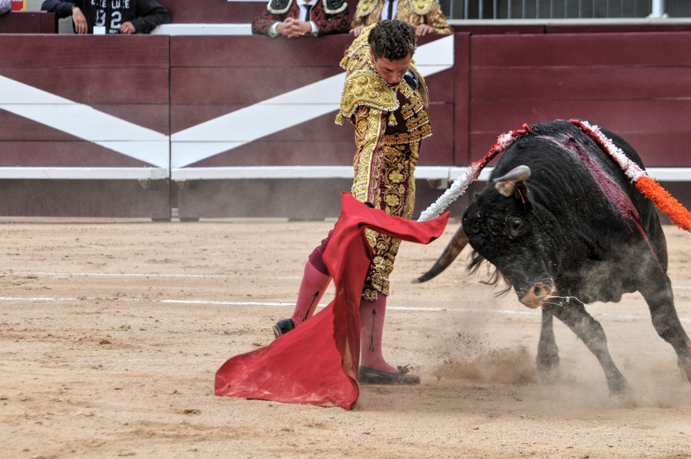 2016novistres (116)