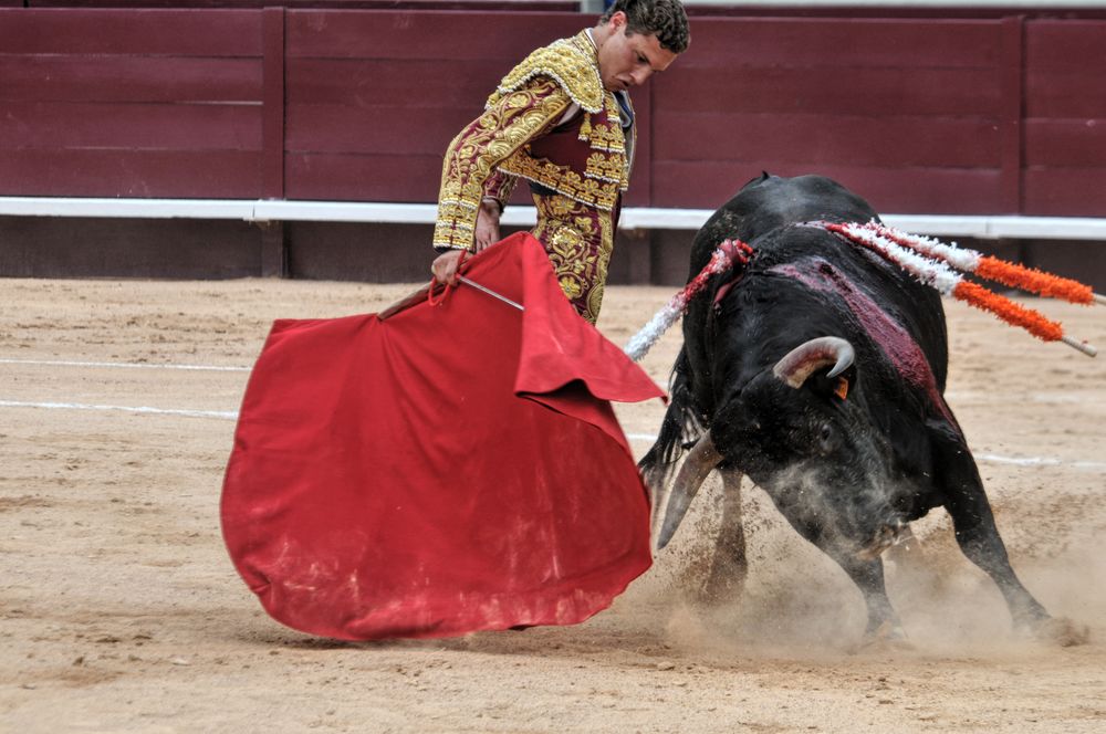 2016novistres (119)