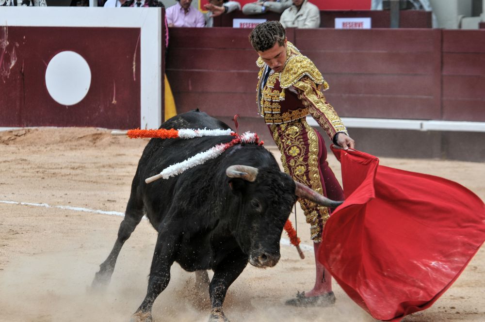 2016novistres (120)