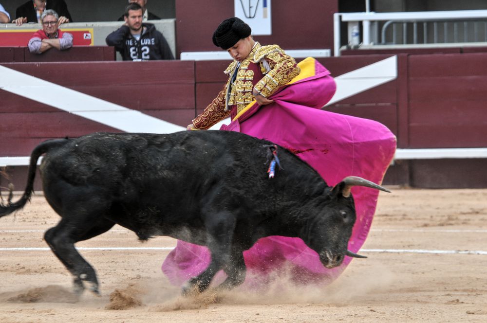 2016novistres (121)