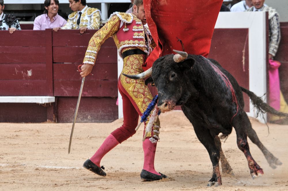 2016novistres (128)
