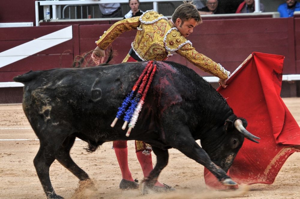 2016novistres (129)