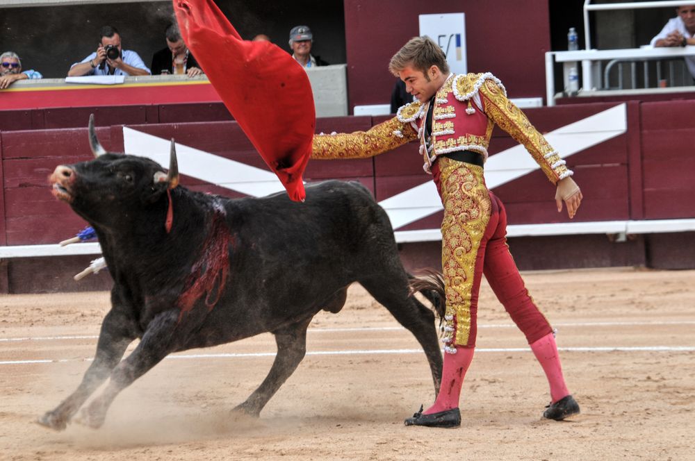 2016novistres (131)