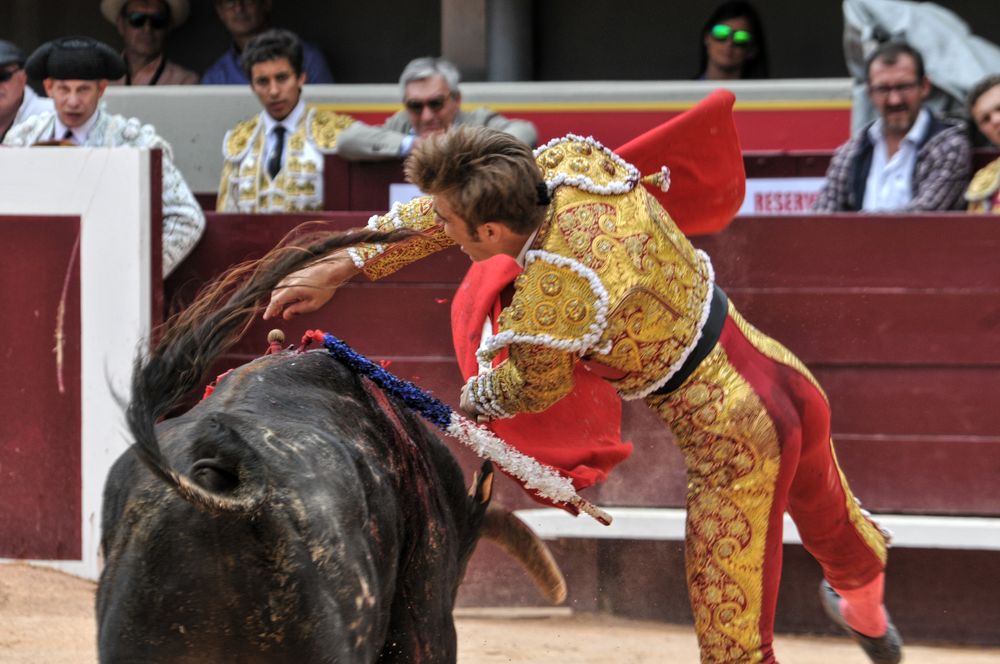 2016novistres (17)