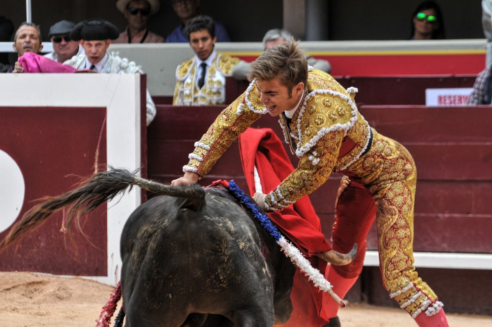 2016novistres (18)