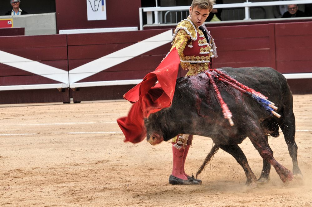 2016novistres (22)