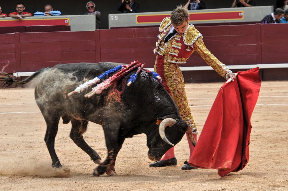 2016novistres (23)
