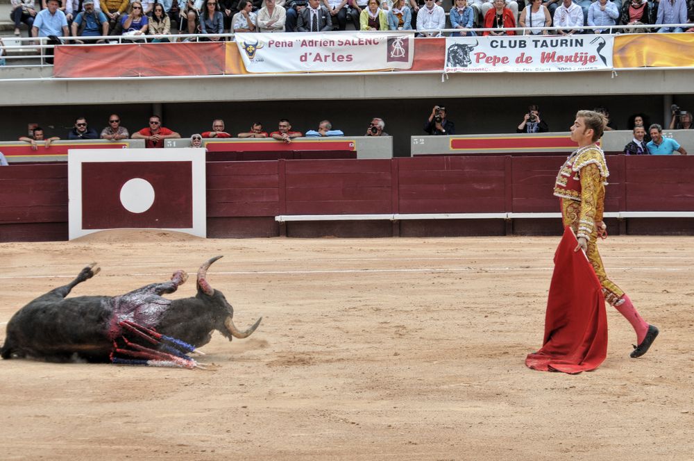 2016novistres (24)