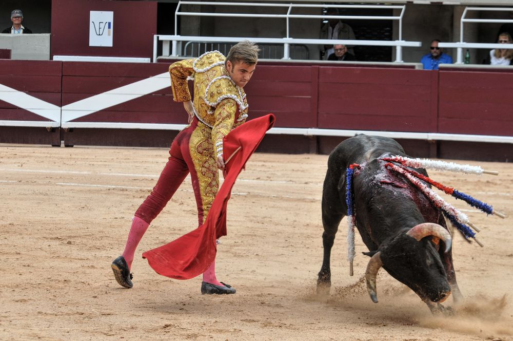 2016novistres (25)