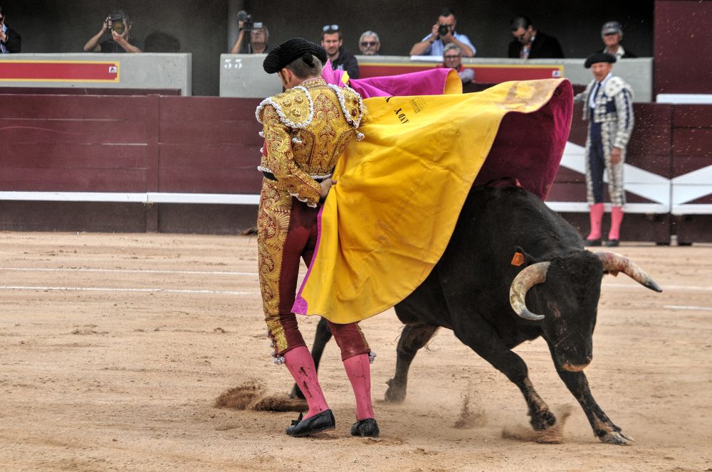 2016novistres (30)