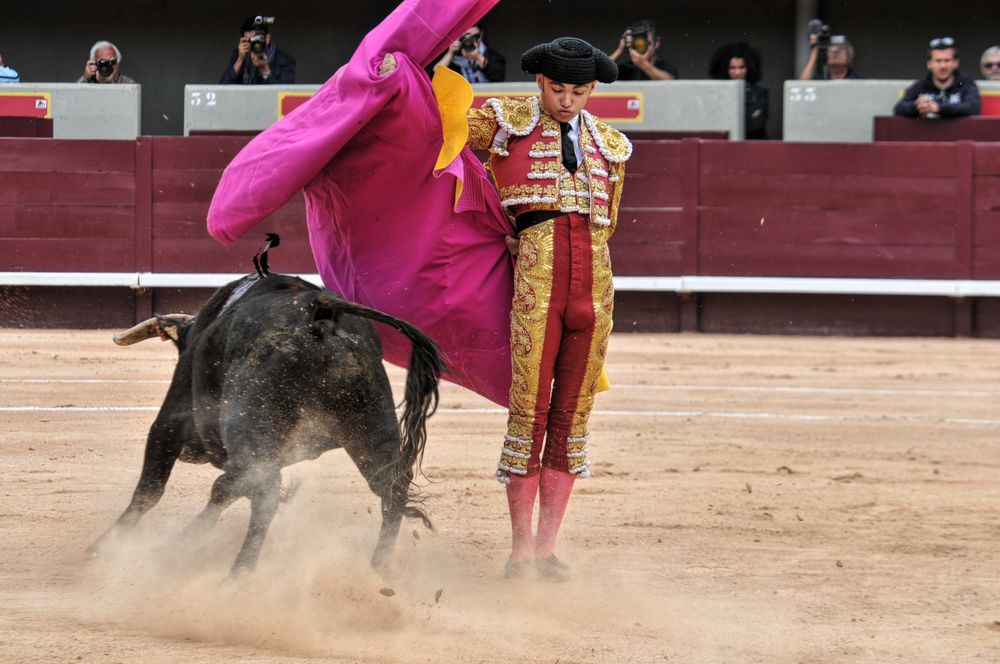 2016novistres (32)