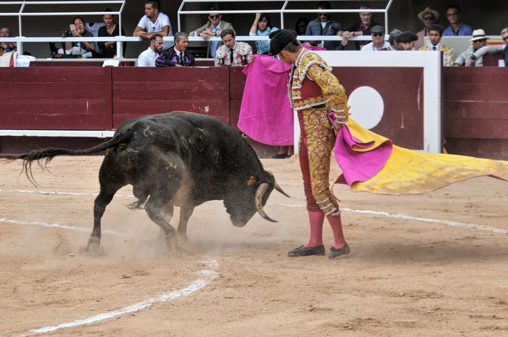 2016novistres (34)